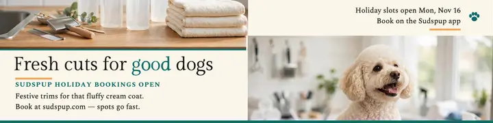 Sudspup holiday grooming LinkedIn banner template