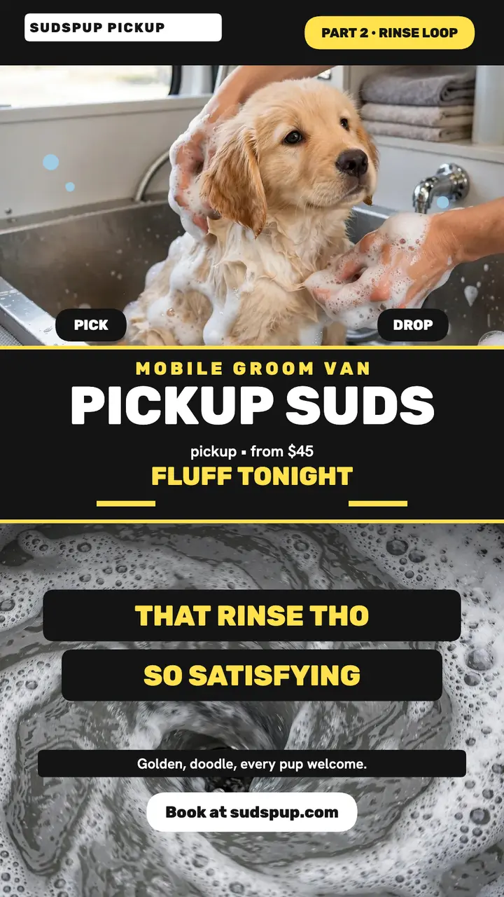 Sudspup Pickup mobile grooming story template