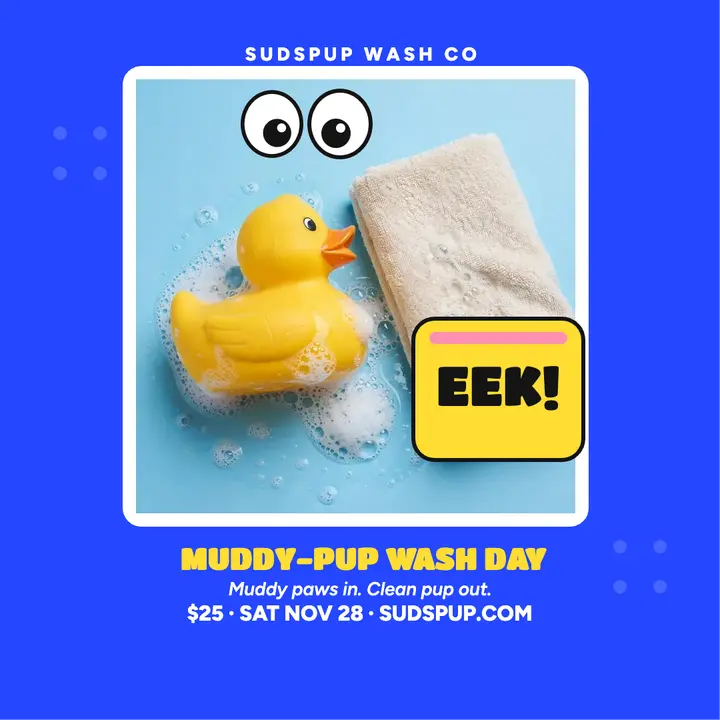 Sudspup pup wash day post template