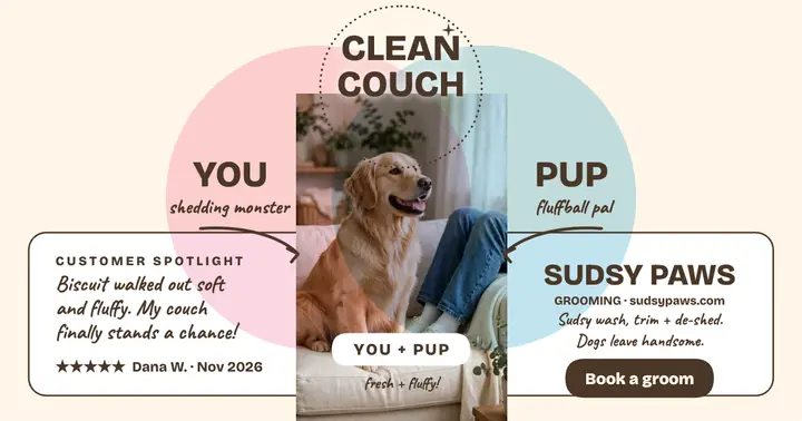 Sudsy Paws clean couch review post template