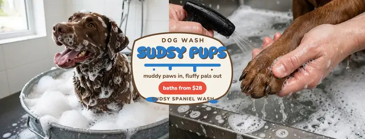 Sudsy Spaniel Wash muddy paws cover template