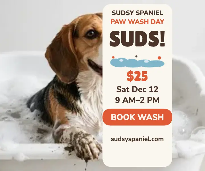 Sudsy Spaniel paw wash day ad template