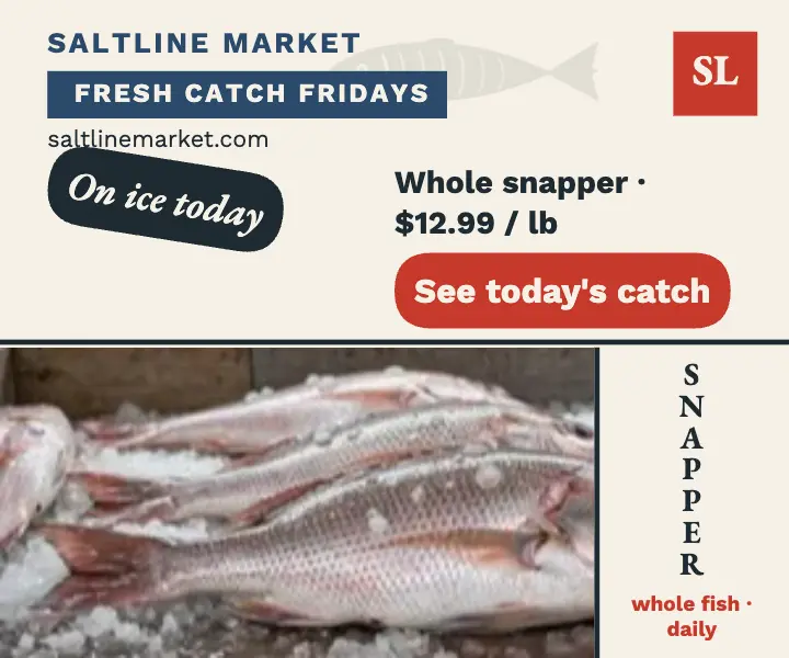 Saltline Market snapper catch ad template