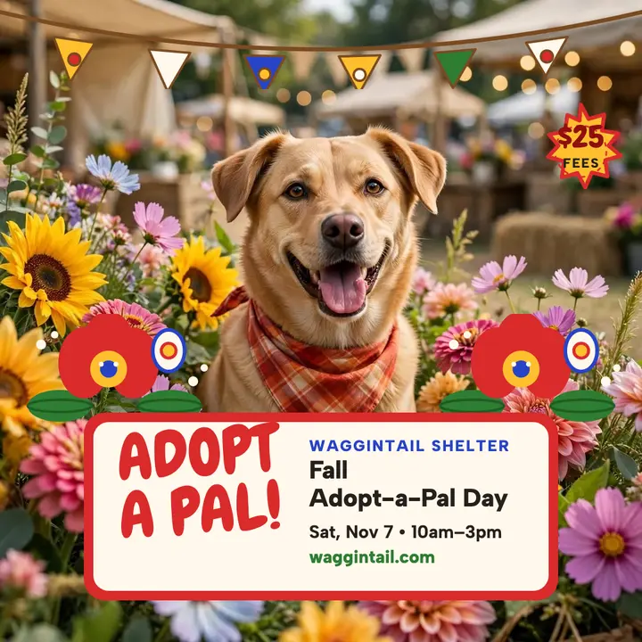 Waggintail fall adoption day post template