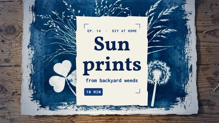 Backyard sun prints cyanotype thumbnail template