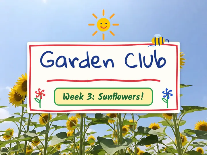 Garden Club week 3 sunflowers slide, crayon doodle template