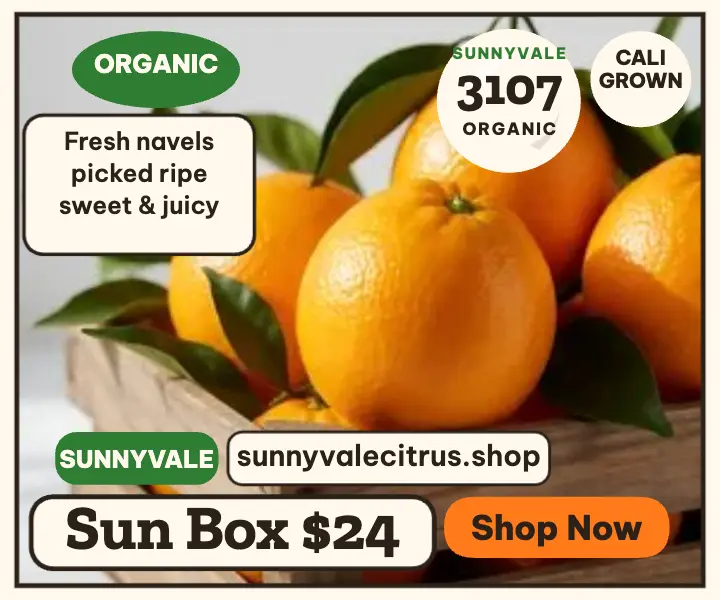 Sunnyvale citrus box ad template
