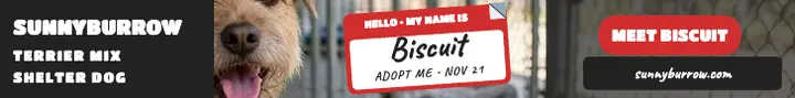 Sunnyburrow hello Biscuit leaderboard ad template