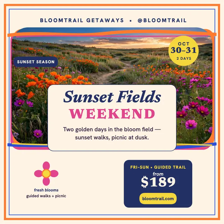 Sunset fields bloom getaway square template