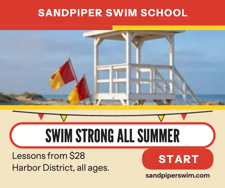 Sandpiper Swim School beach club ad template