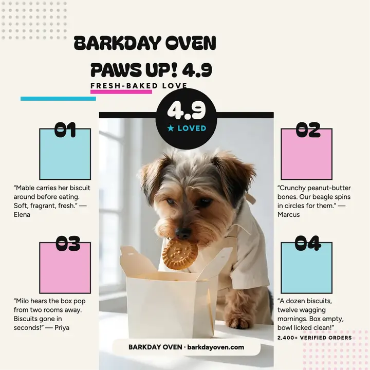 Barkday Oven dog bakery reviews template