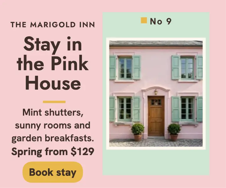 Marigold Inn pink stay ad template