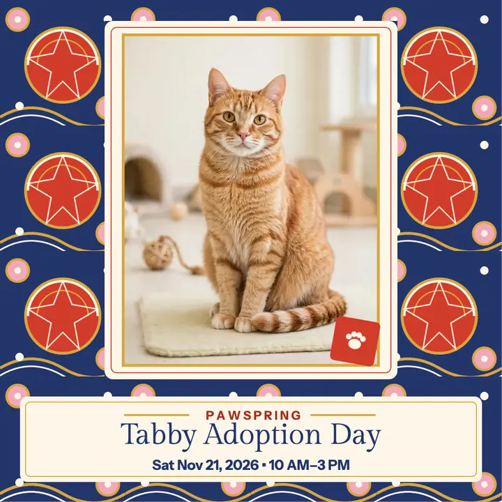 Pawspring tabby adoption day post template