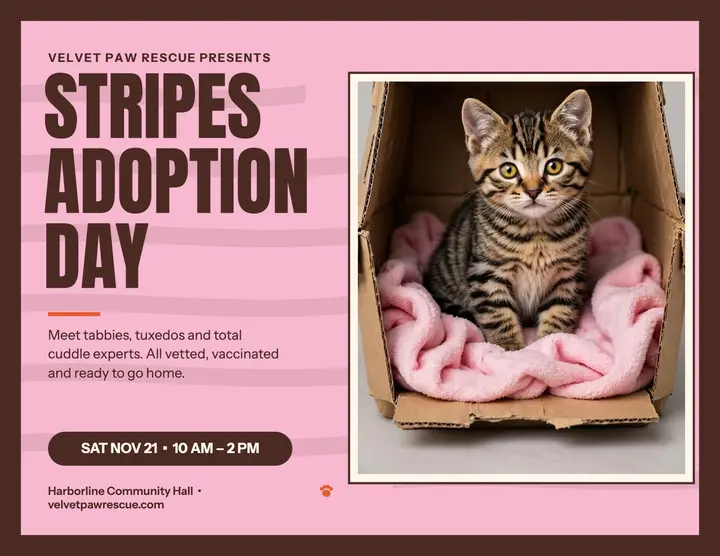 Stripes Adoption Day tiger flyer: cat adoption day flyer template