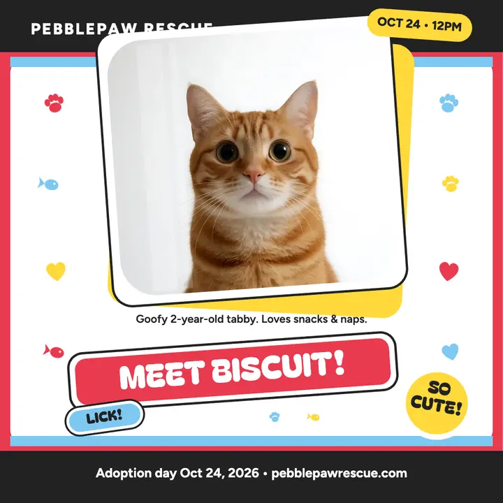 Biscuit Tabby Adoption Sticker Post: tabby adoption post template