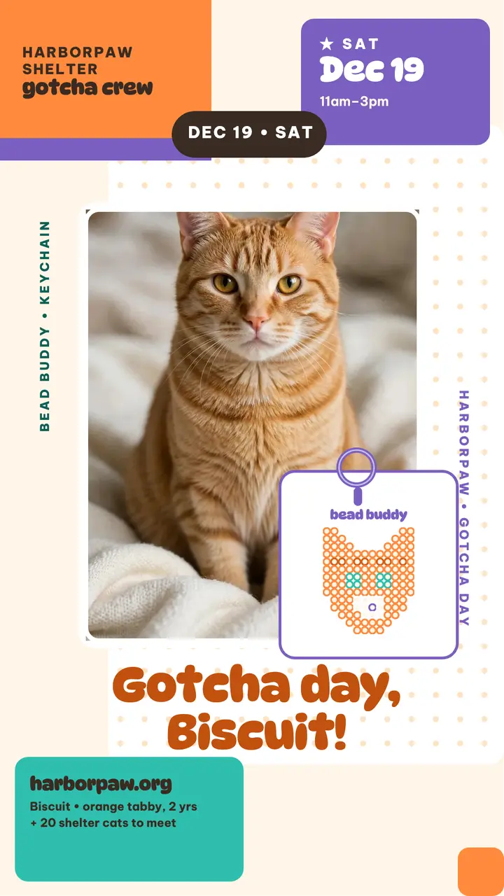 Biscuit tabby gotcha day bead story template