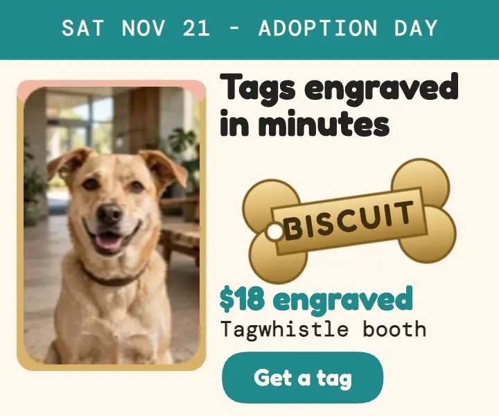 Tagwhistle engraved tag adoption ad template