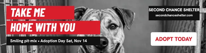 Take Me Home dog adoption billboard template