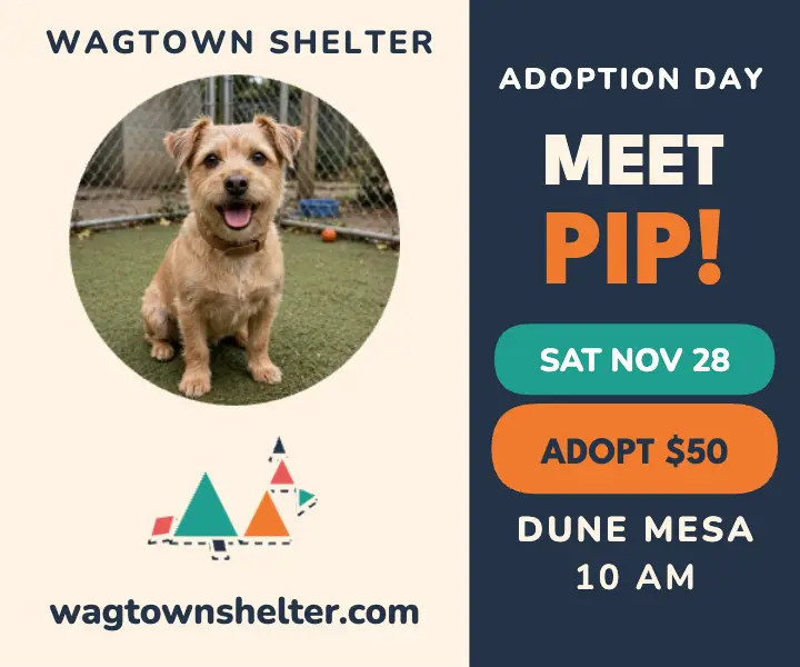 Wagtown Shelter tangram pup adoption ad template
