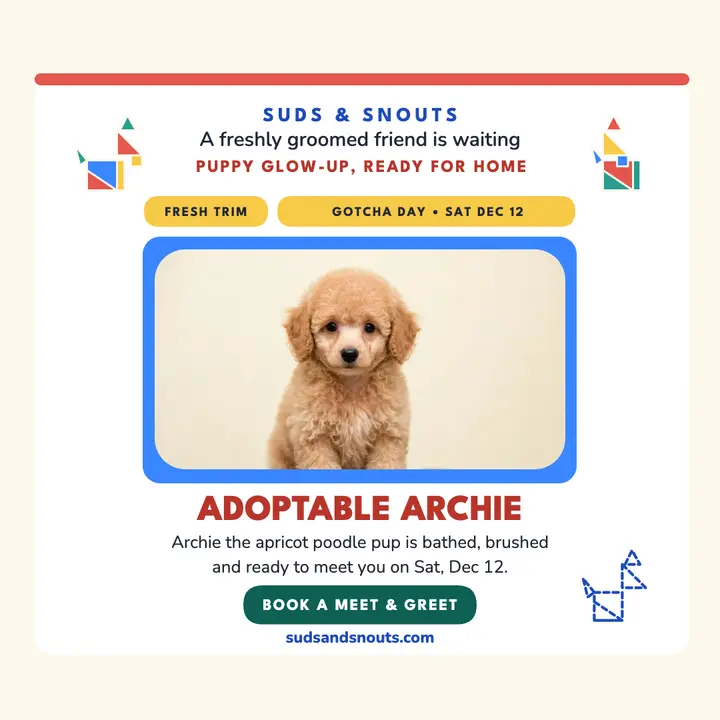 Suds and Snouts tangram puppy post: groomer adoption day post template