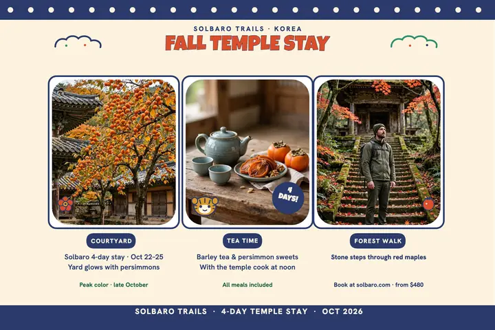 Solbaro autumn temple stay postcard template