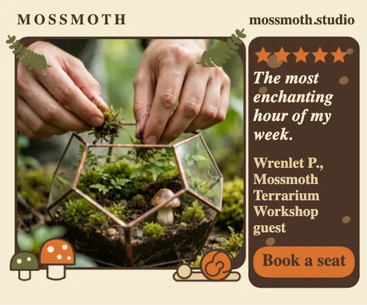 Mossmoth terrarium workshop review ad template