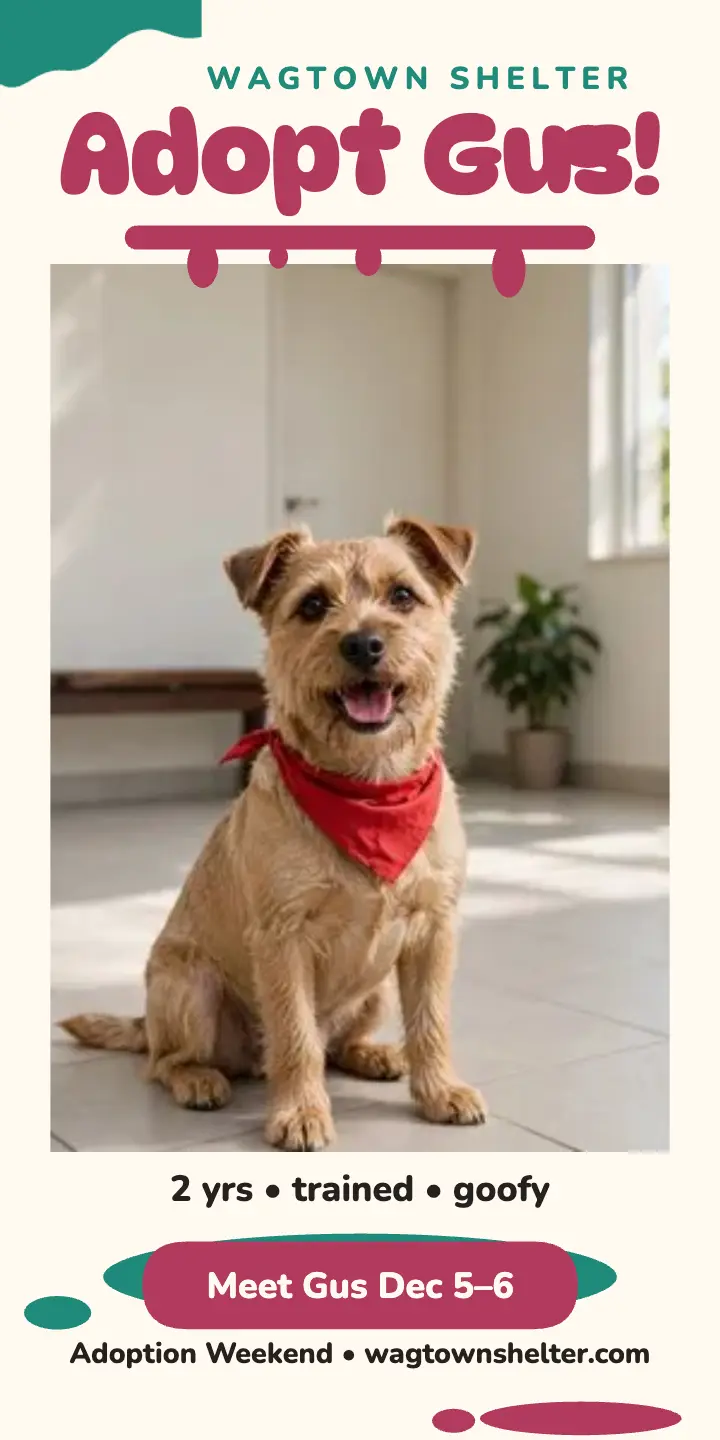 Gus terrier adoption weekend blotch ad template