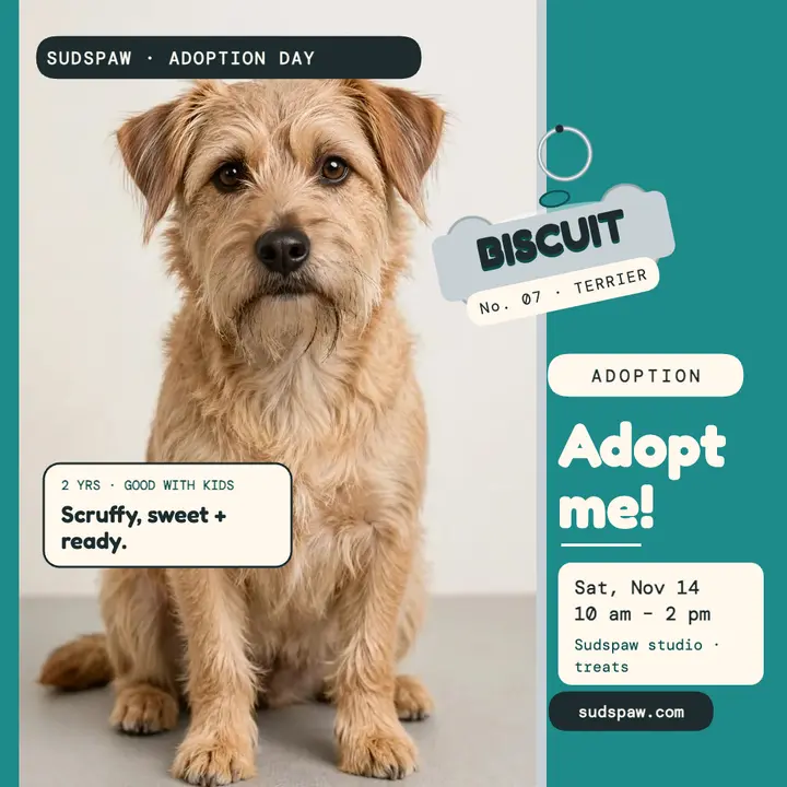 Sudspaw adoption day with Biscuit post template