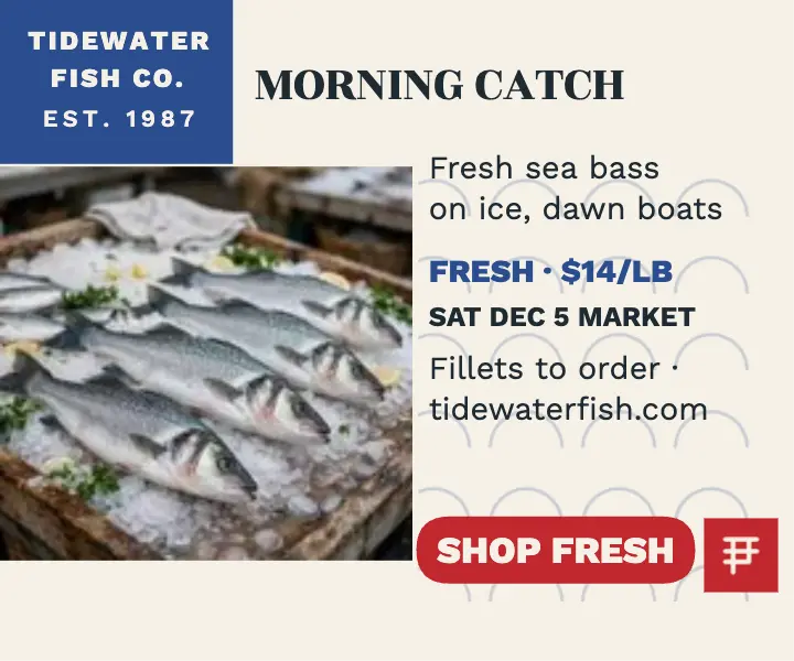 Tidewater morning catch fish print ad template