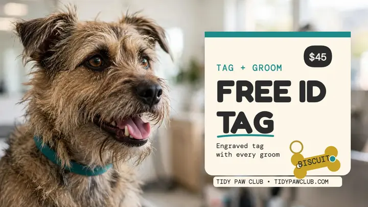 Tidy Paw Club tag and groom thumbnail template