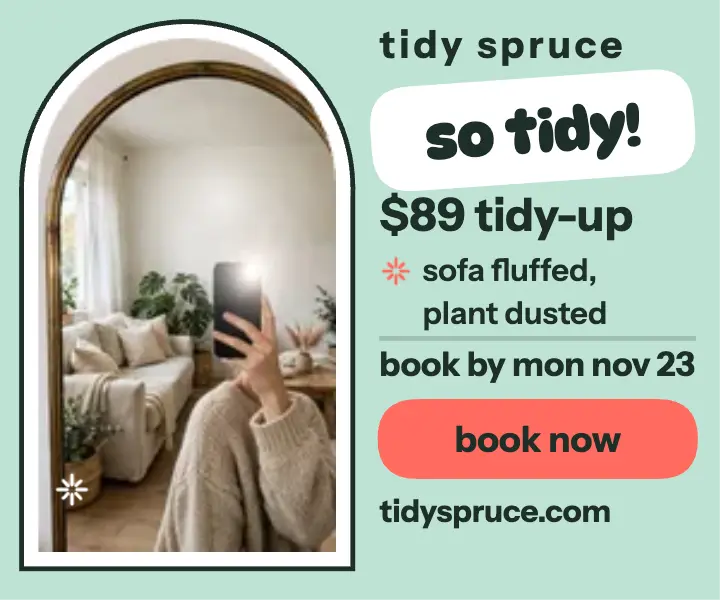 Tidy Spruce mirror selfie cleaner ad template