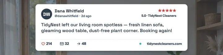 TidyNest cleaner review spotlight banner template