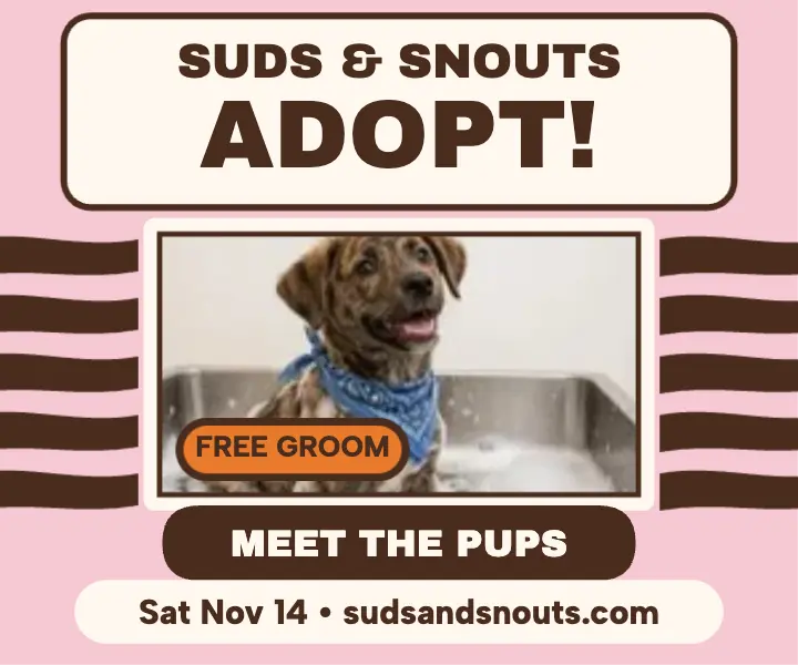 Suds and Snouts tiger adoption ad template