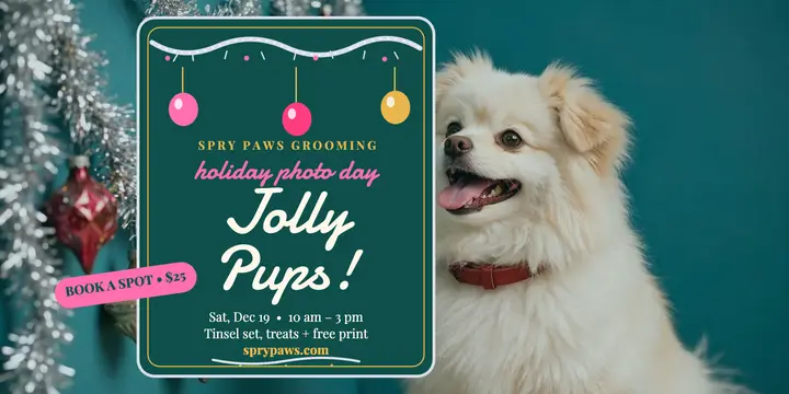 Spry Paws holiday pet photo day post template