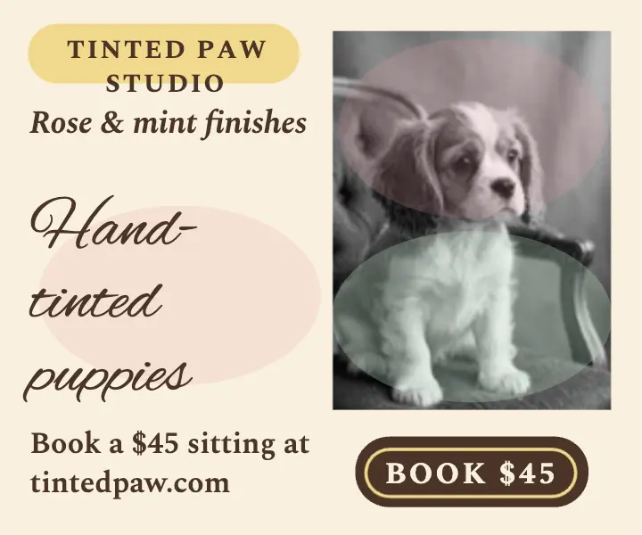 Tinted Paw hand-tinted puppy portrait ad template