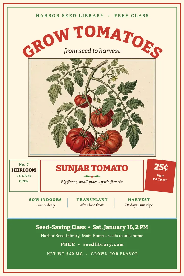 Sunjar tomato seed class poster template