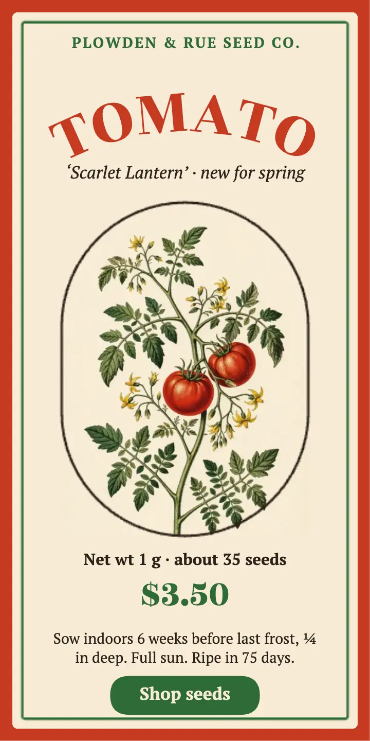 Heirloom tomato seeds ad, seed packet template