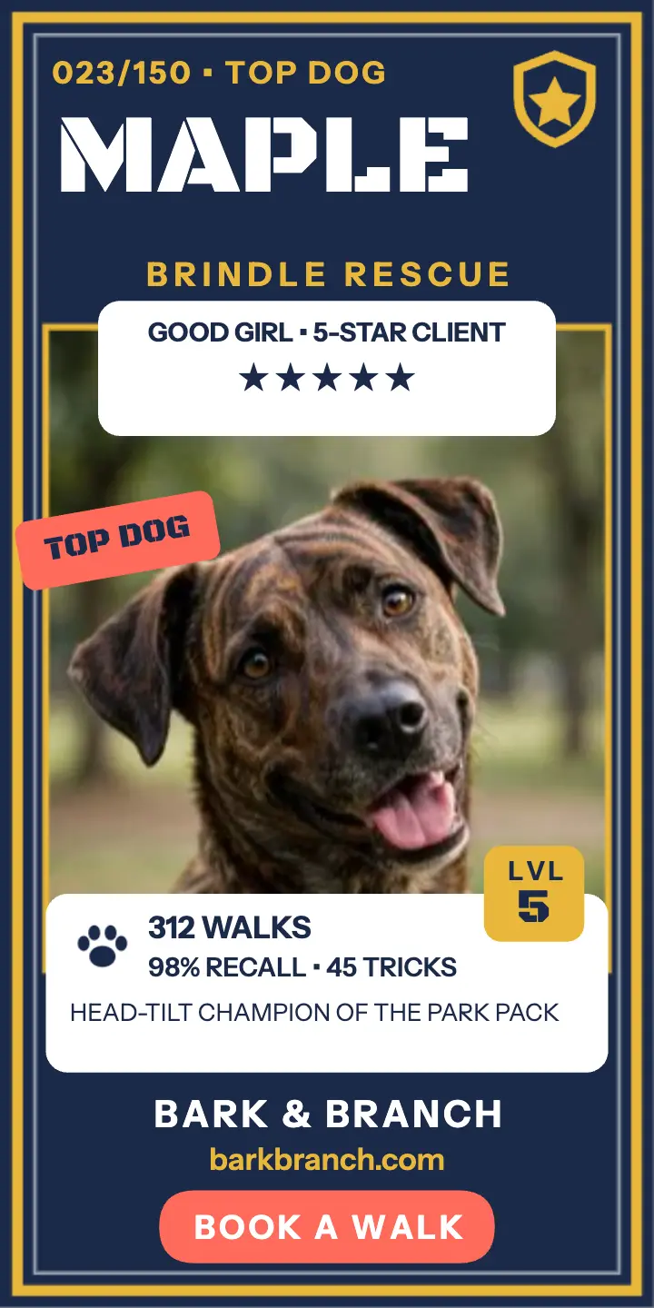 Maple top dog trading card ad: dog walking client trading card template