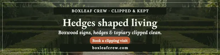 Boxleaf Crew boxwood garden banner template