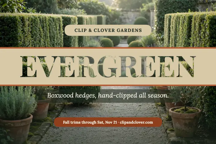 Clip and Clover topiary hedge postcard template