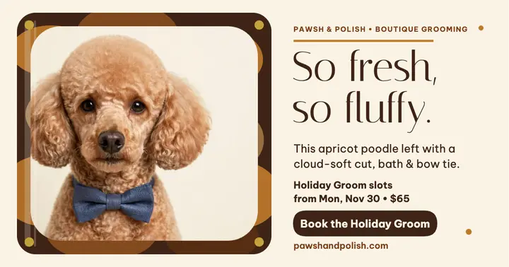 Pawsh and Polish poodle groom post template