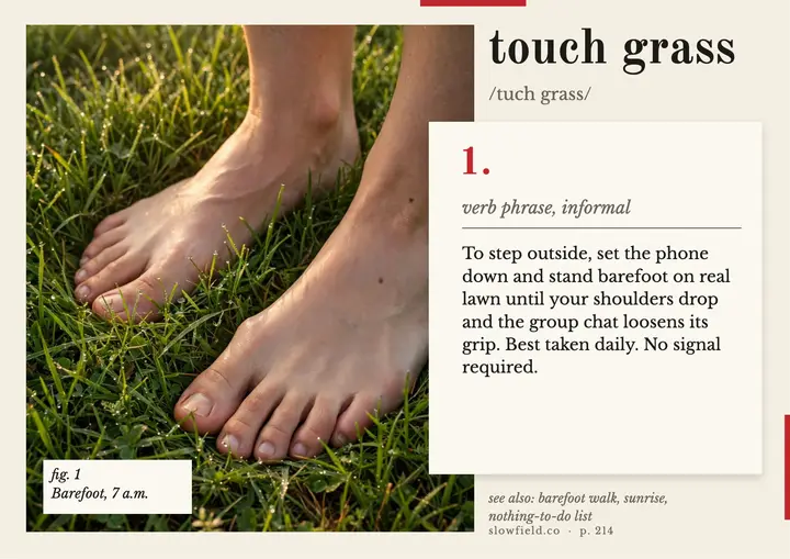 Touch grass dictionary entry wellness card: touch grass dictionary entry template