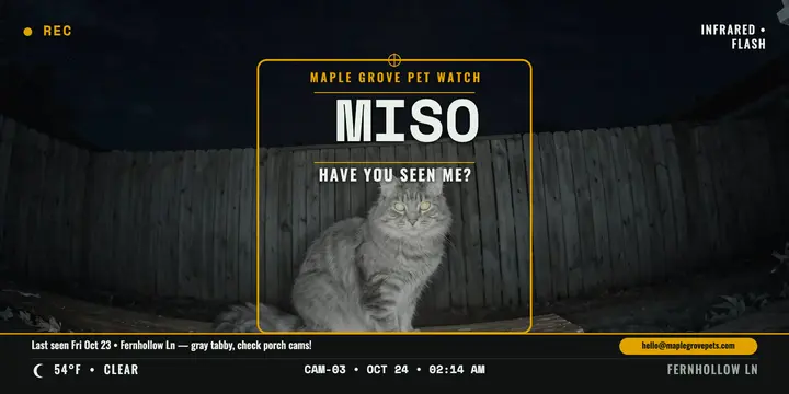 Miso lost cat trail-cam porch watch post template