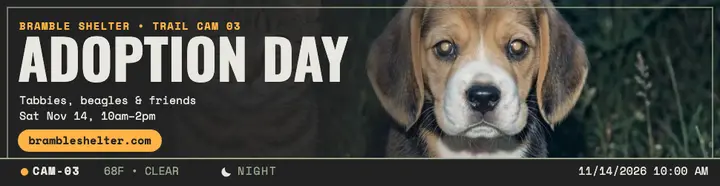 Bramble Shelter adoption day trail-cam billboard template