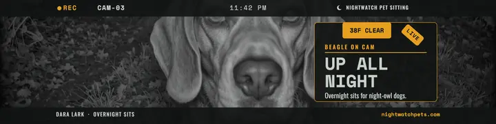 Nightwatch pet sitting trail-cam banner: pet sitter banner template