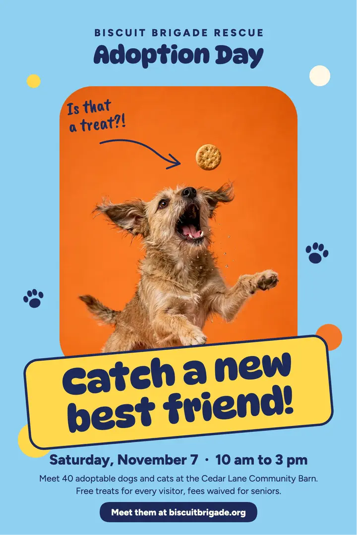Biscuit Brigade adoption day poster template