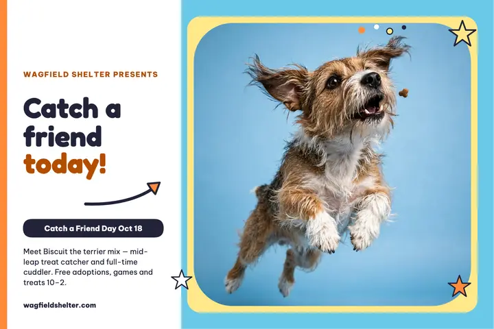 Wagfield treat-catch adoption postcard template