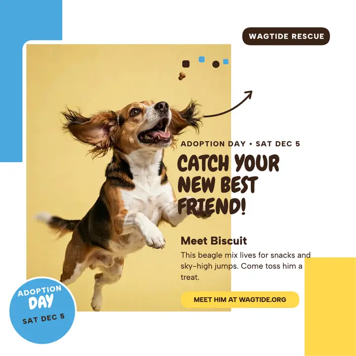 Biscuit treat catch adoption post template