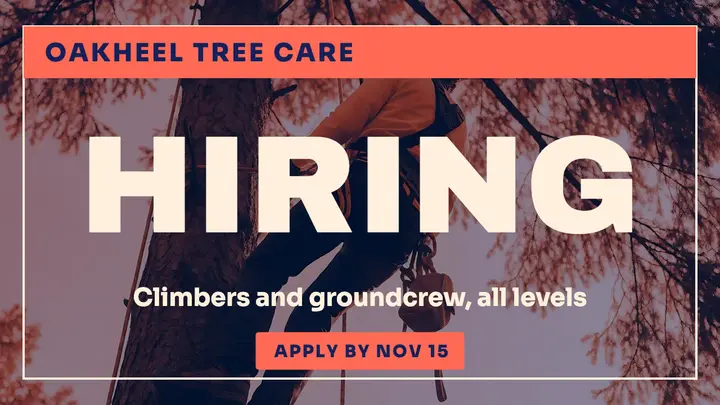 Tree crew hiring duotone thumbnail template