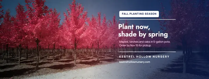 Kestrel Hollow tree nursery fall planting cover, infrared bloom template